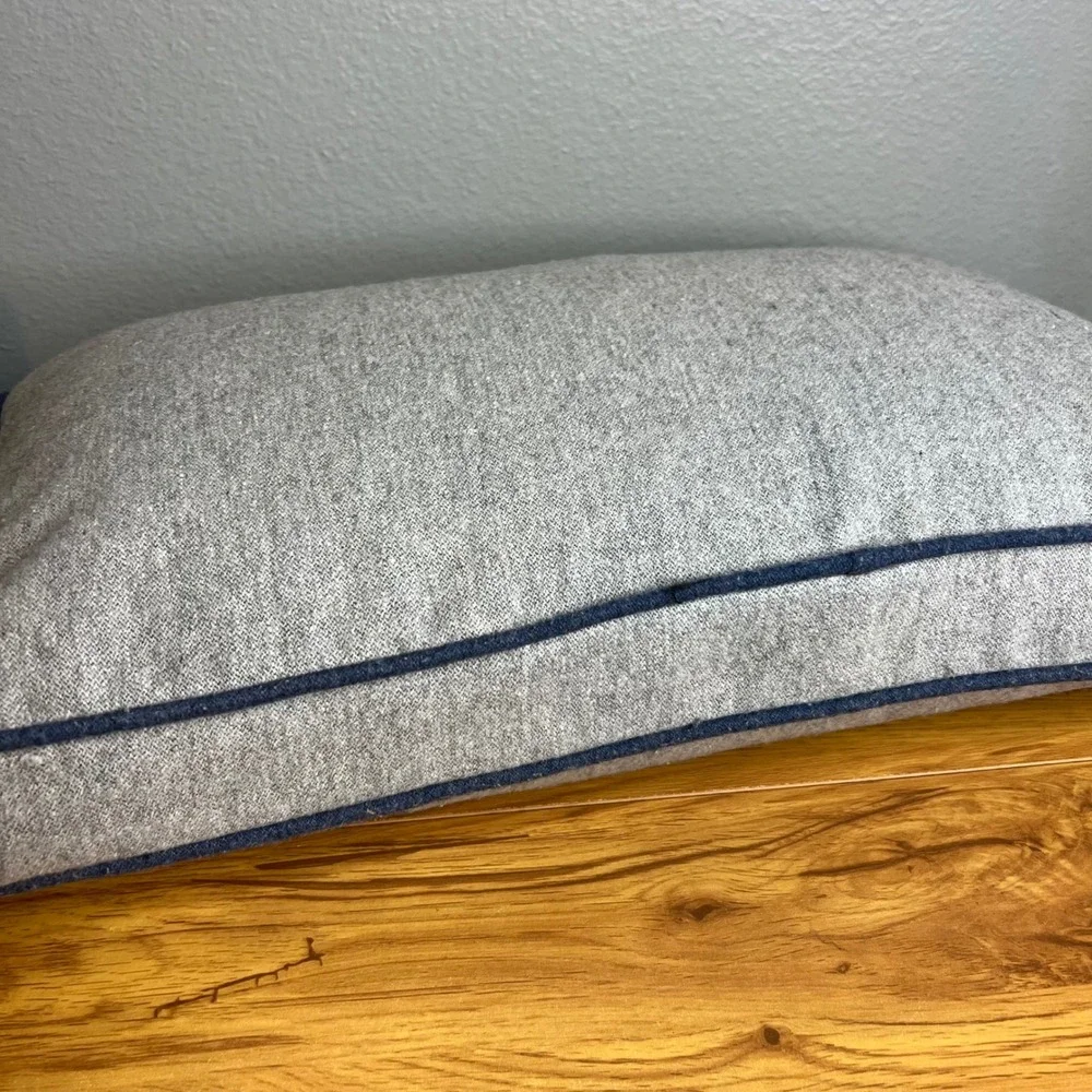 Restoration Hardware Baby & Child Dinosaur Skateboard Lumbar Pillow Feather Down